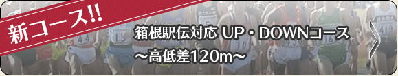 祝 第８９回箱根駅伝 総合優勝